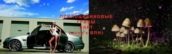 эйфоретик Арсеньев