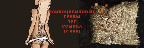 эйфоретик Арсеньев