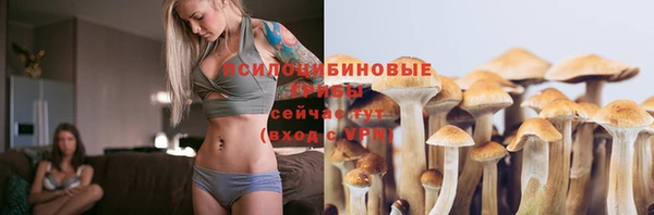эйфоретик Арсеньев