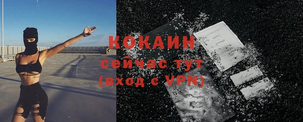 эйфоретик Арсеньев