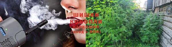 твердый Аркадак
