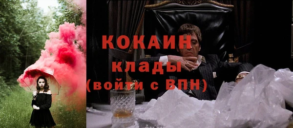 твердый Аркадак