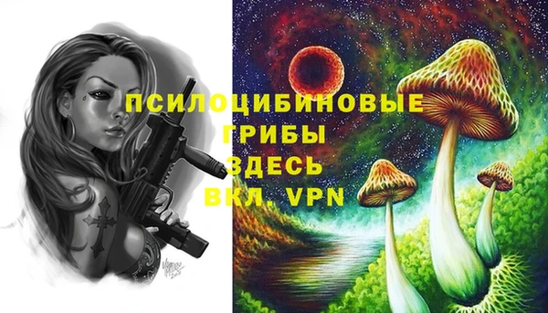 эйфоретик Арсеньев