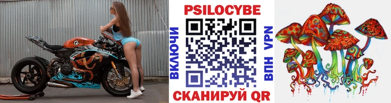 Купить закладки Бобров Псилоцибиновые грибы Psilocybine cubensis